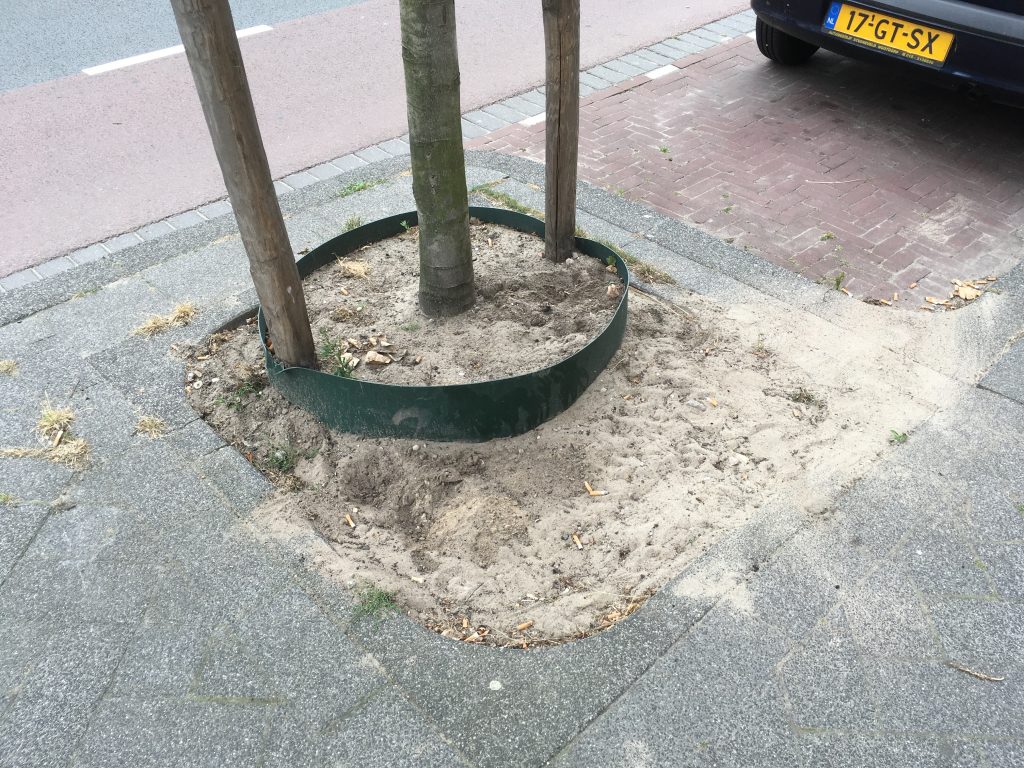 Boomspiegel (14) voor Homeland Real Estate Meer groen? Zelf doen!