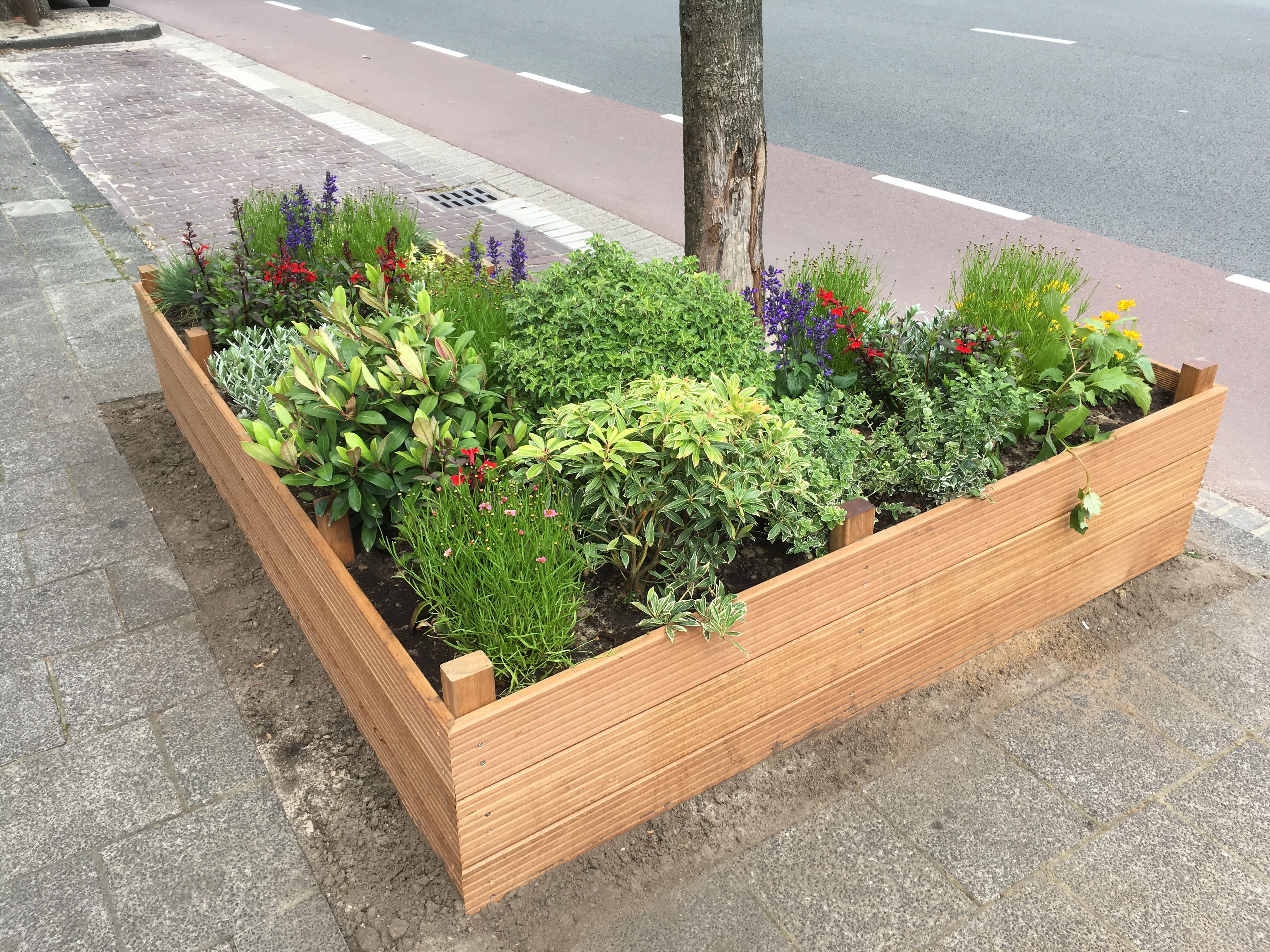 Lotsbestemming Vlot spelen Mooie plantenbak bij Sports Café Not Out - Meer groen? Zelf doen!
